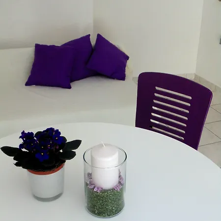 Petricevic 3*